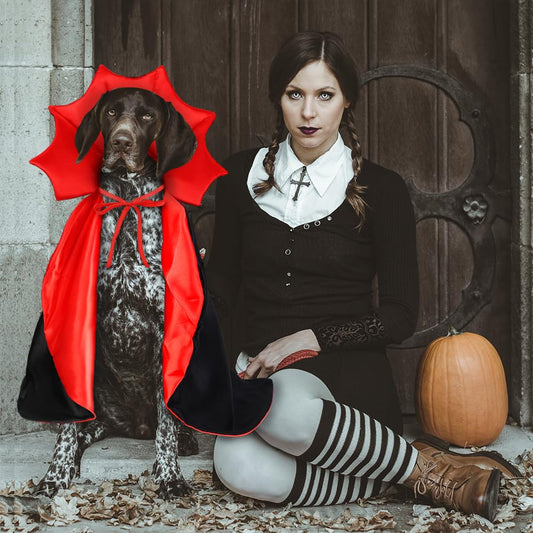Dog Vampire Cape Costume – Black & Red Halloween Cloak for Medium and Large Dogs