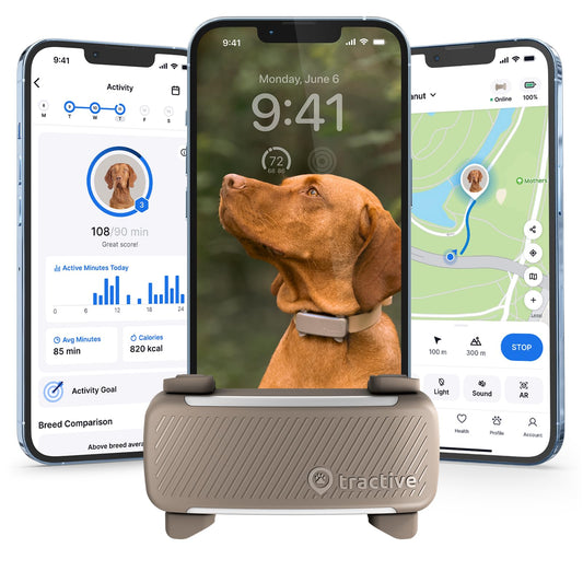 Tractive Smart GPS Dog Tracker with Health, Bark Monitoring & Virtual Fence Alerts – Waterproof Real-Time Pet Tracking Device (Brown)