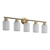 Modern 5-Light Gold Vanity Light with Frosted Glass Shades