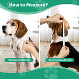 Pet Elizabethan Collar – Single Layer Recovery Cone for Cats & Dogs (M Size)
