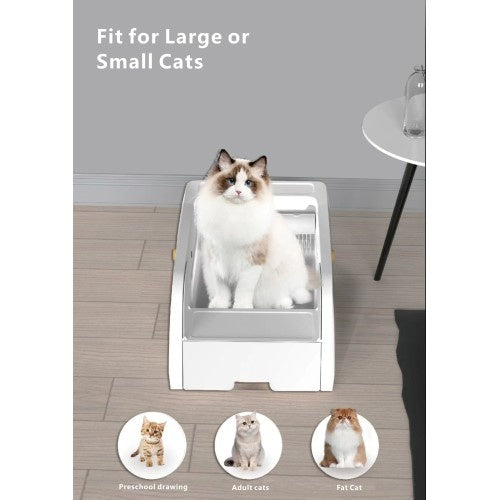 Smart Cat Litter Box with Wide Opening – Automatic Deodorizing, Self-Cleaning & Spacious Design for Multiple Cats
