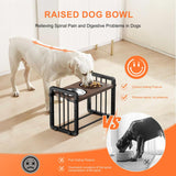 https://www.pulingo.com/products/h-shaped-iron-frame-lifting-dog-bowl?utm_source=copyToPasteBoard&utm_medium=product-links&utm_content=web