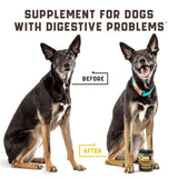 Probiotics for Dogs – Digestive Enzymes & Gut Health Support Chews for Allergies, Yeast Balance & Immunity