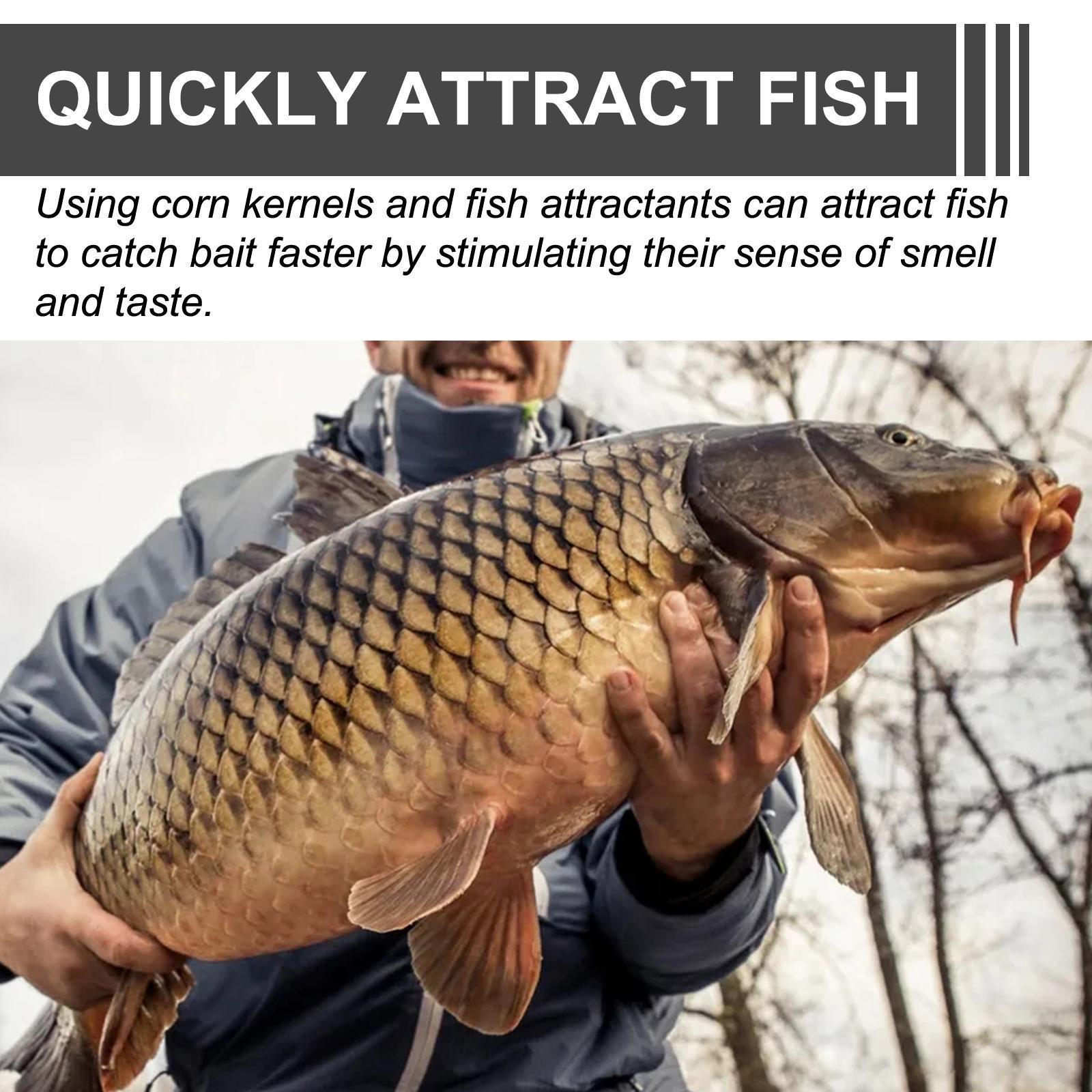 Yebang Corn Fish Bait – Portable & Effective Fishing Bait for Reservoir, Lake & Freshwater Fishing Trips