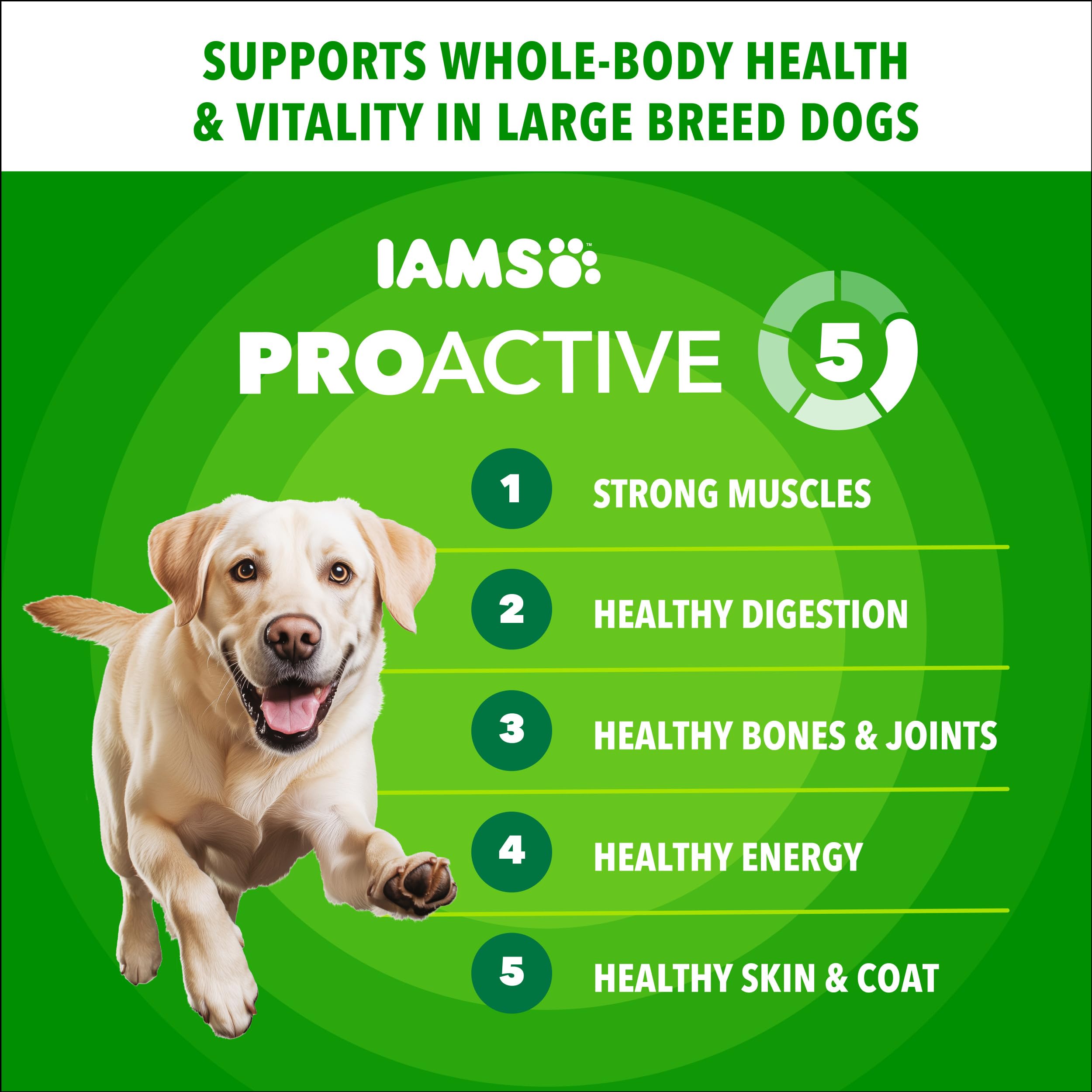 IAMS Proactive Health Large Breed Adult Dry Dog Food Chicken & Whole Grain High Protein Nutrition Formula