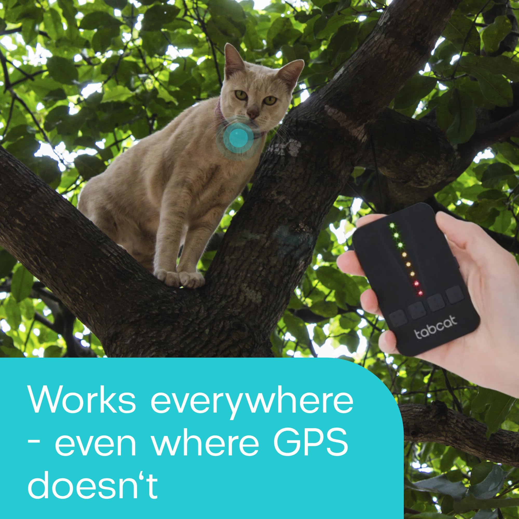 RF Cat Tracker Tag with Handheld Locator – No Subscription Lightweight Collar Tracking Device for Cats & Kittens