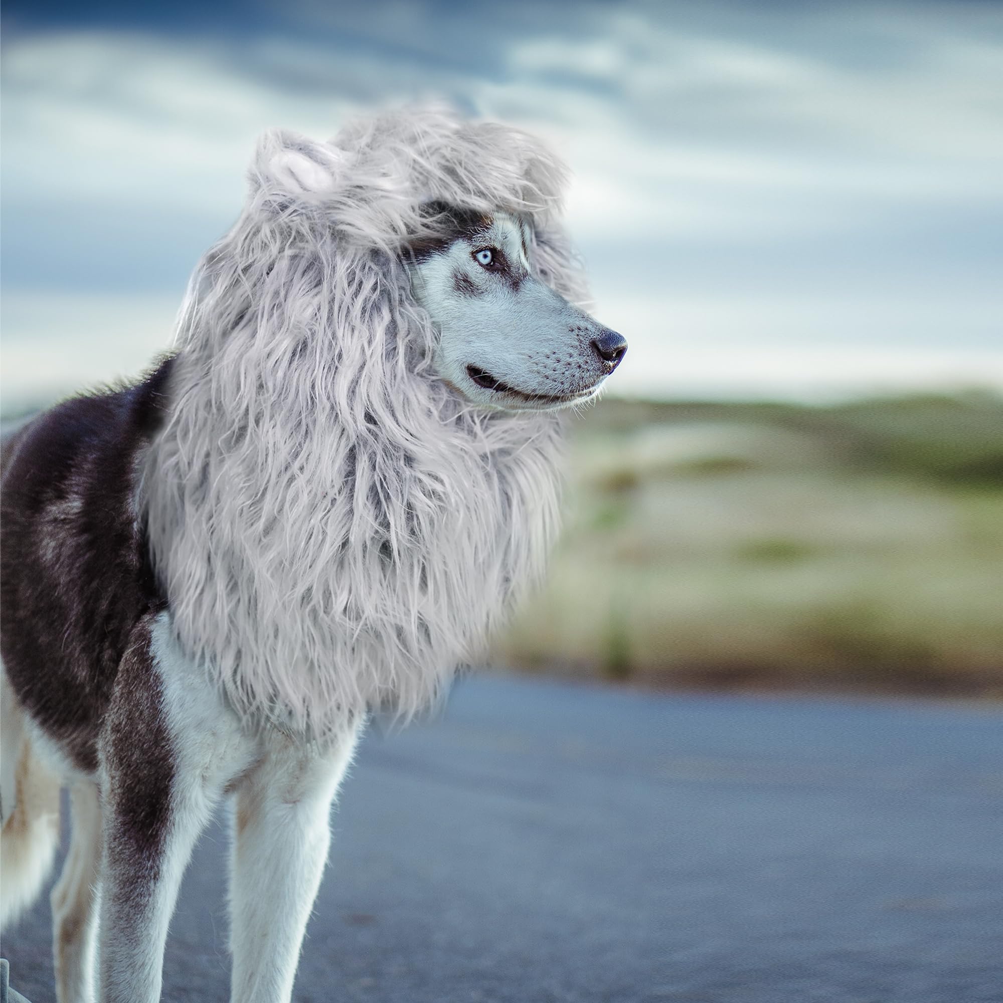 Lion Mane Dog Costume – Funny Halloween Wig for Large Dogs