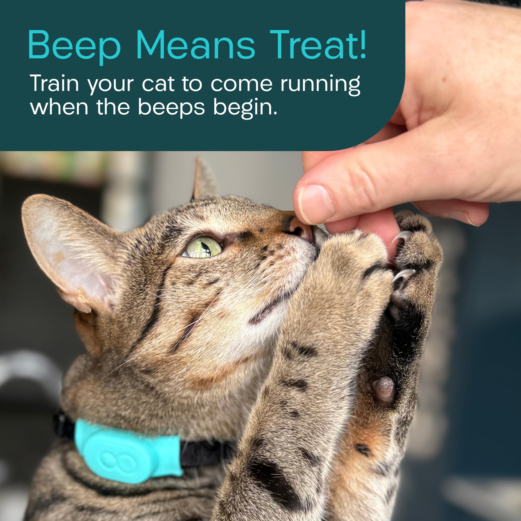 RF Cat Tracker Tag with Handheld Locator – No Subscription Lightweight Collar Tracking Device for Cats & Kittens