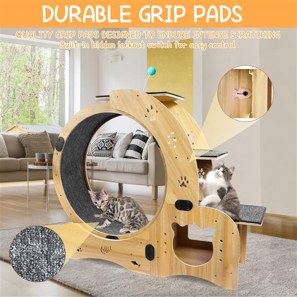 6-in-1 Cat Exercise Wheel – Upgraded Indoor Sports Wheel Device for Active & Healthy Cats