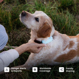 Tractive Real-Time GPS Dog Tracker with Health Monitoring & Escape Alerts – Waterproof Smart Pet Tracking Device (Black)
