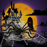 Giant Halloween Spider Web Decoration Set – 59" Hairy Spider + 200"x188" Triangular Web with Hooks & Stakes (Black & White)