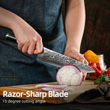 8-Inch Damascus Chef Knife – VG-10 Core, 67-Layer Steel, Ultra-Sharp 15° Edge