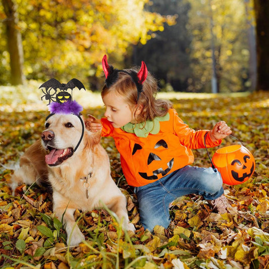 6-Pack Halloween Glitter Headbands – Witch Hat, Pumpkin & Bat Hair Accessories for Women & Kids