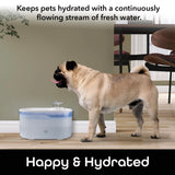 Geeni PetConnect Smart Pet Water Fountain with App Control, 2.6L Filtered Water Dispenser, and Alexa Google Assistant Integration