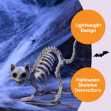 2PCS Halloween Skeleton Cats – Realistic Weatherproof Outdoor Decorations for Yard, Lawn & Patio