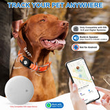 Smart Cat & Dog Tracker Compatible with Apple Find My – No Subscription Waterproof Lightweight Pet Tracking Tag