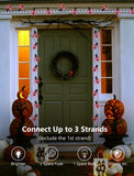 Halloween C9 Dark Purple String Lights – 25Ft Black Wire, 25 Bulbs, UL Listed Outdoor & Indoor Party Décor