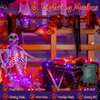 Halloween LED String Lights with Black Creepy Cloth – 50 LEDs Orange & Purple Lights, 8 Modes, Timer, Battery Powered (79 x 31 in)