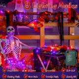 Halloween LED String Lights with Black Creepy Cloth – 50 LEDs Orange & Purple Lights, 8 Modes, Timer, Battery Powered (79 x 31 in)