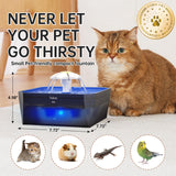 Veken 50oz Starter Cat Water Fountain – Ultra-Quiet 3-Mode Hydration System for Kittens & Small Pets