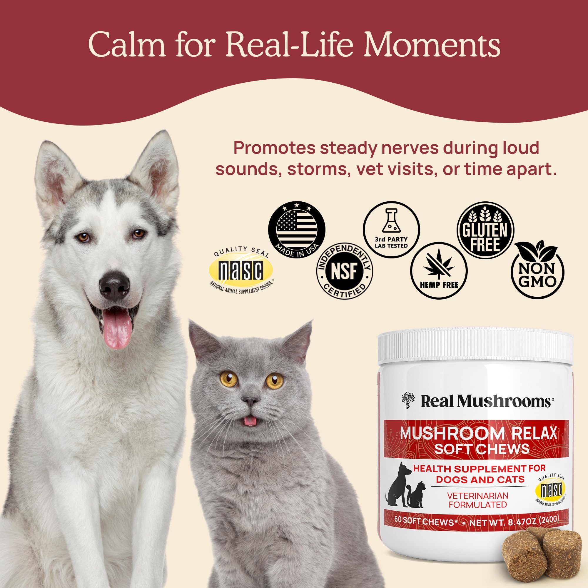 Natural Calming Chews for Dogs & Cats with Reishi & Lion’s Mane – Plant-Based Mood Support & Immune Health Supplement (Vegan Formula)