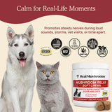 Natural Calming Chews for Dogs & Cats with Reishi & Lion’s Mane – Plant-Based Mood Support & Immune Health Supplement (Vegan Formula)
