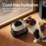 PETLIBRO Dockstream Battery-Operated Cat Water Fountain 3L – 5000mAh Wireless Stainless Steel System (Black)
