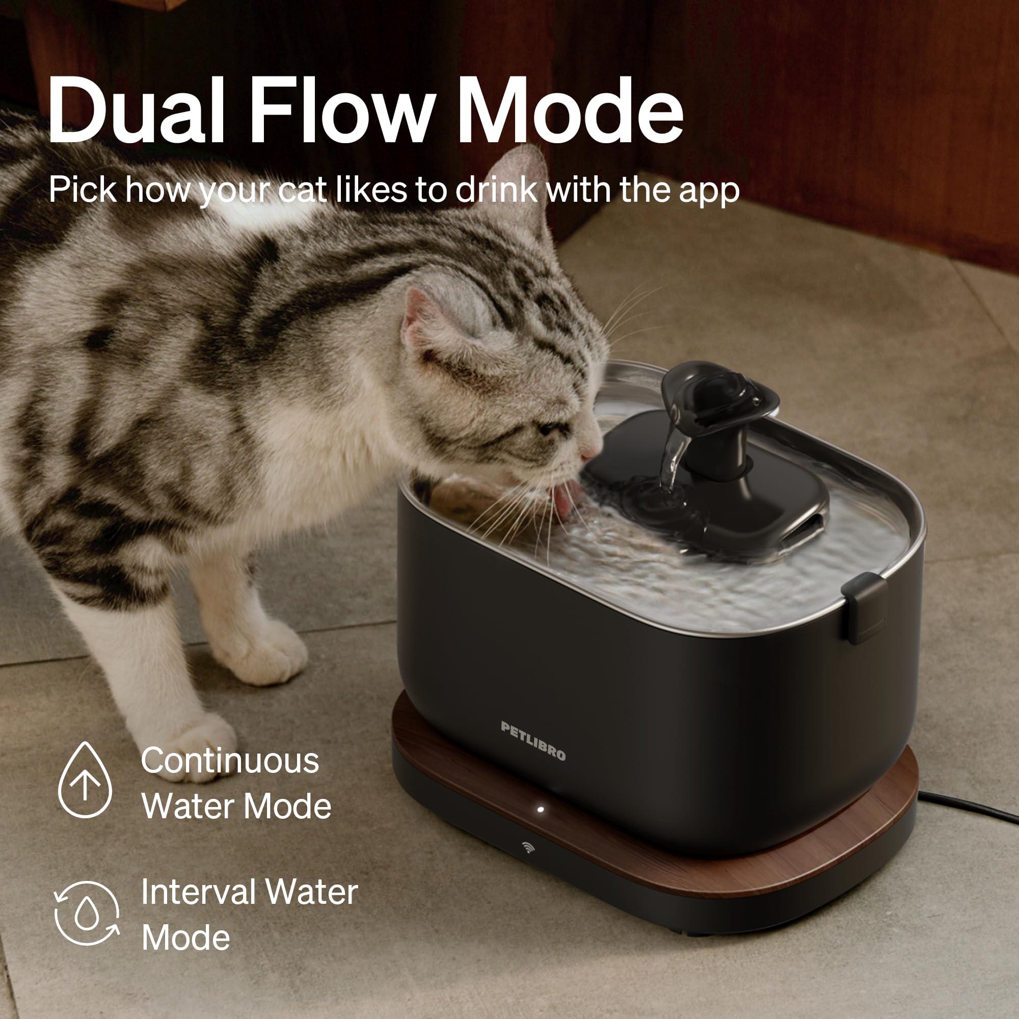 PETLIBRO Dockstream WiFi Smart Cat Water Fountain 3L – PawSense Hydration Monitoring System (Black)
