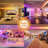 PAUTIX 24V Addressable RGBIC COB LED Strip 16.4ft – 3150 LEDs High Density DIY Smart Lighting