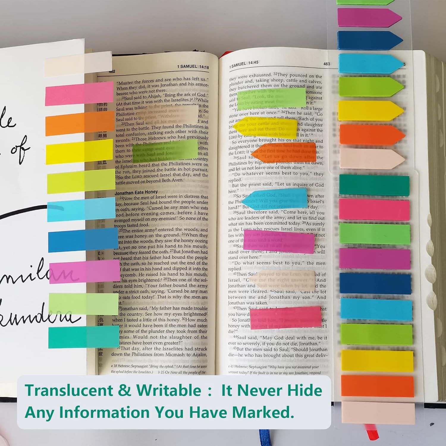 3200 Writable Morandi Page Tabs for Books, Notes and Planners