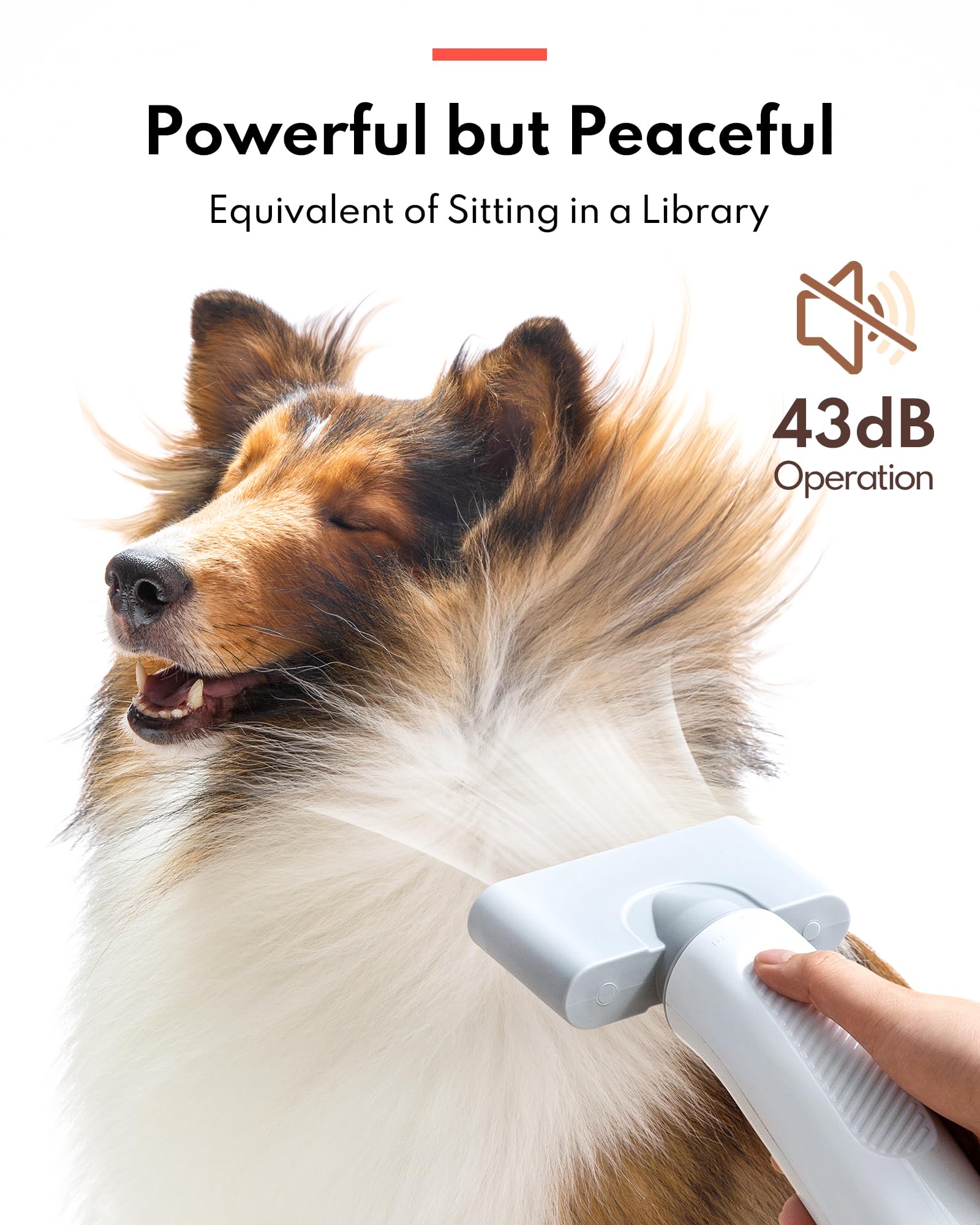 Ultra Quiet Professional Pet Dryer with Negative Ion Technology, Adjustable Wind Speeds, Smart Temperature Control, and Multiple Nozzles