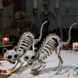 2PCS Halloween Skeleton Cats – Realistic Weatherproof Outdoor Decorations for Yard, Lawn & Patio