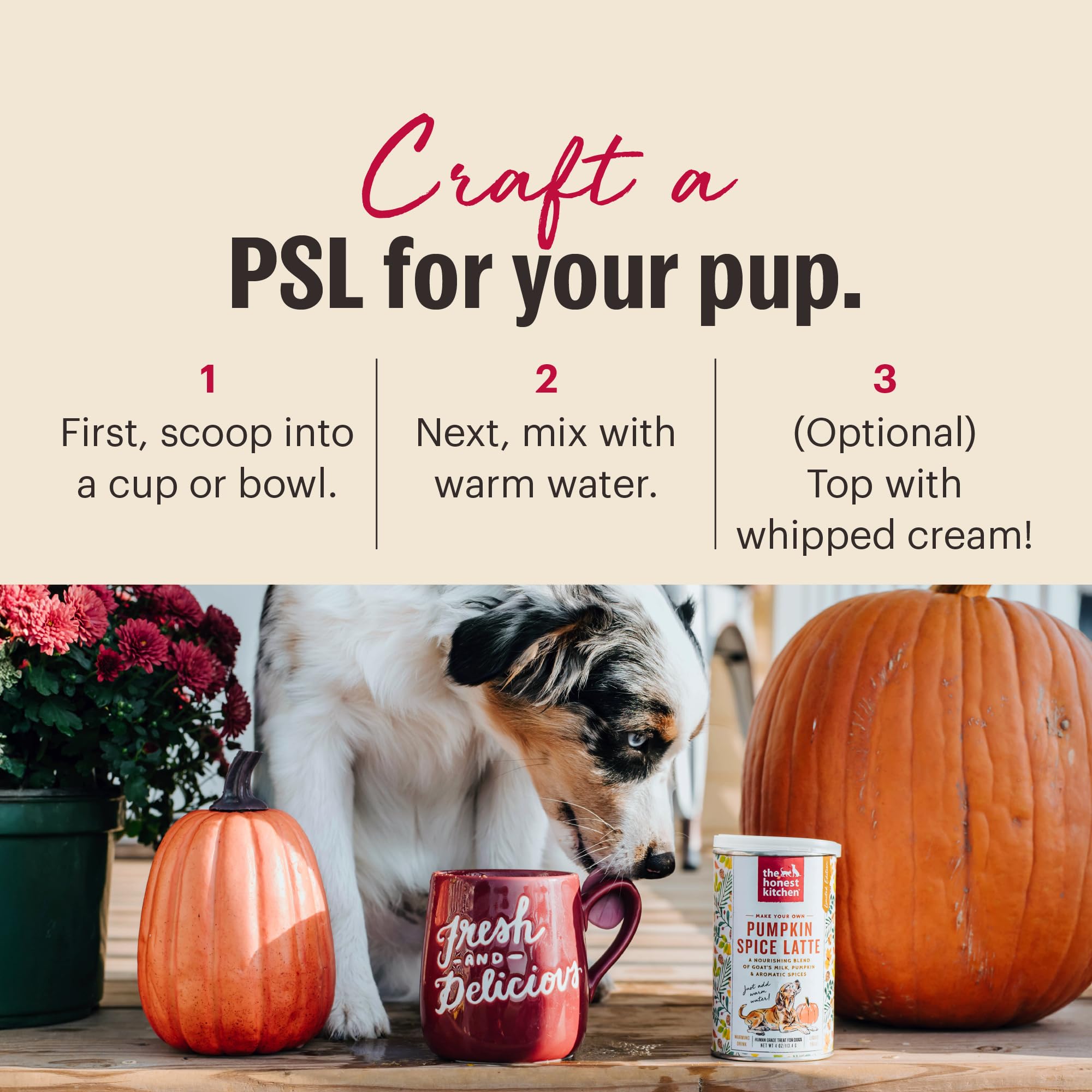 The Honest Kitchen Pumpkin Spice Latte for Dogs – Human Grade Seasonal Treat Mix (Made in USA)