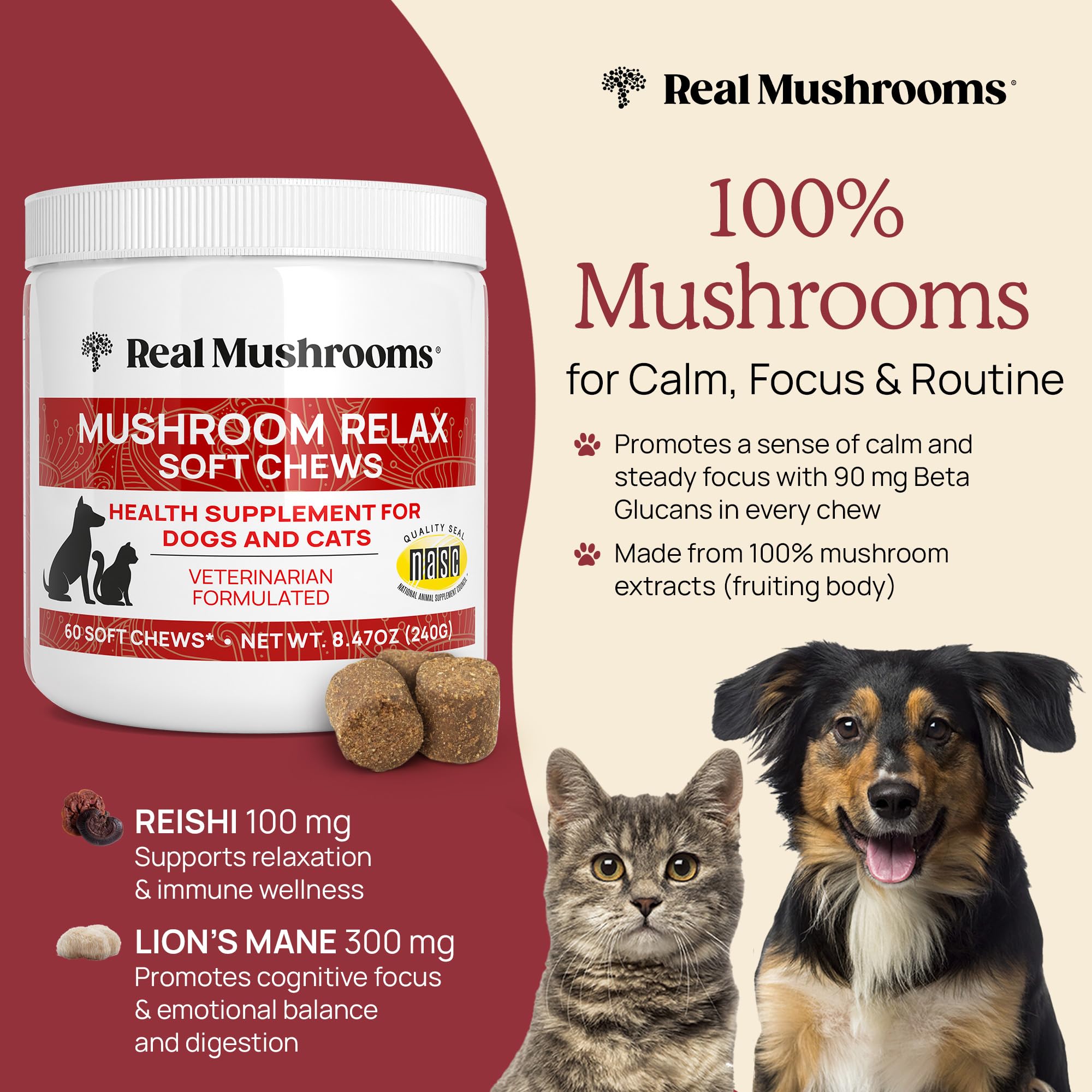 Natural Calming Chews for Dogs & Cats with Reishi & Lion’s Mane – Plant-Based Mood Support & Immune Health Supplement (Vegan Formula)