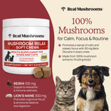 Natural Calming Chews for Dogs & Cats with Reishi & Lion’s Mane – Plant-Based Mood Support & Immune Health Supplement (Vegan Formula)