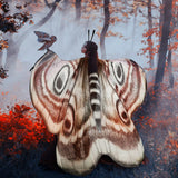 Butterfly Wings & Moth Antenna Costume Set for Women – Chiffon Cape with Headband (Halloween & Cosplay Accessory)