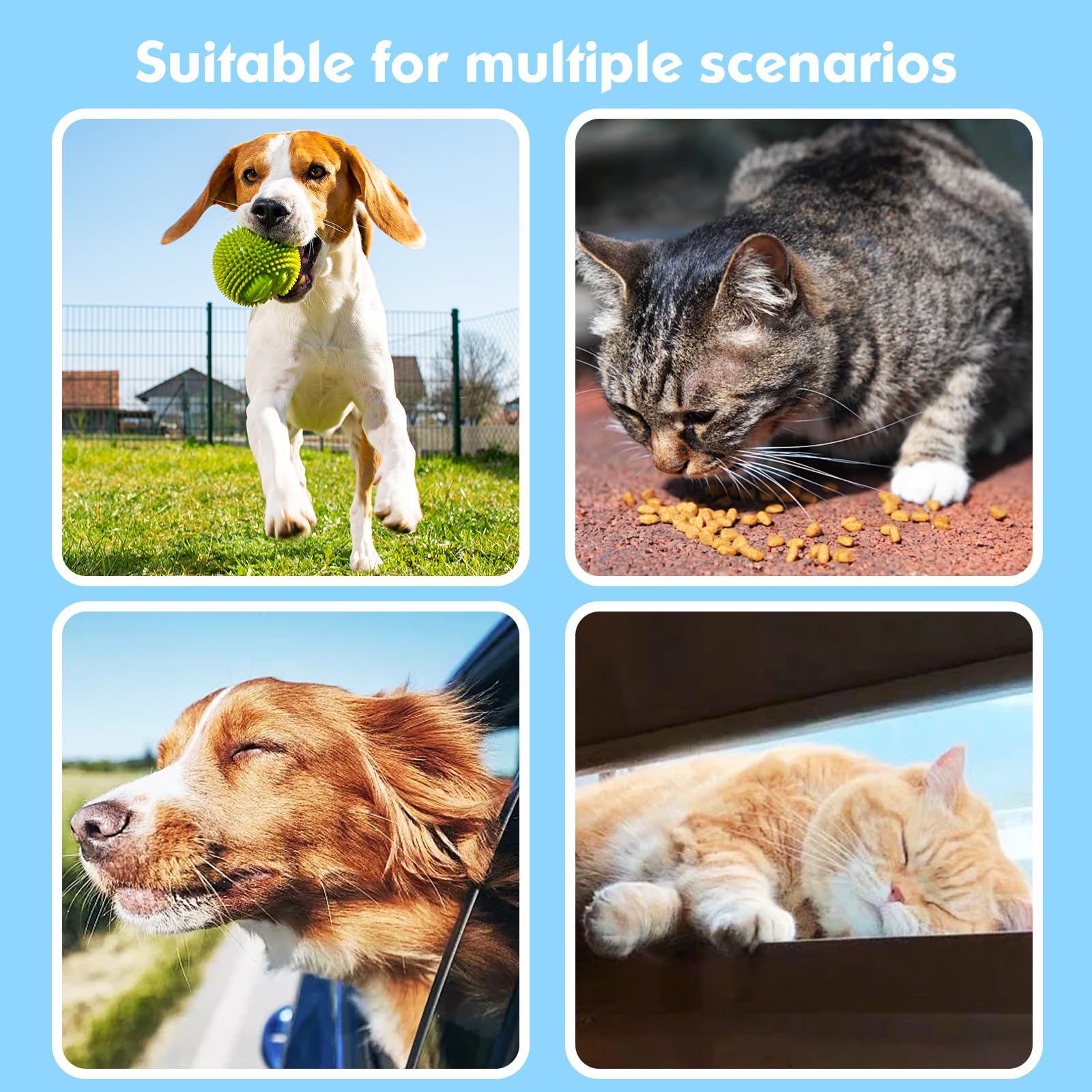 MODUS GPS Dog Tracker Collar with Apple Find My Real-Time Tracking Waterproof Adjustable Smart Pet Collar