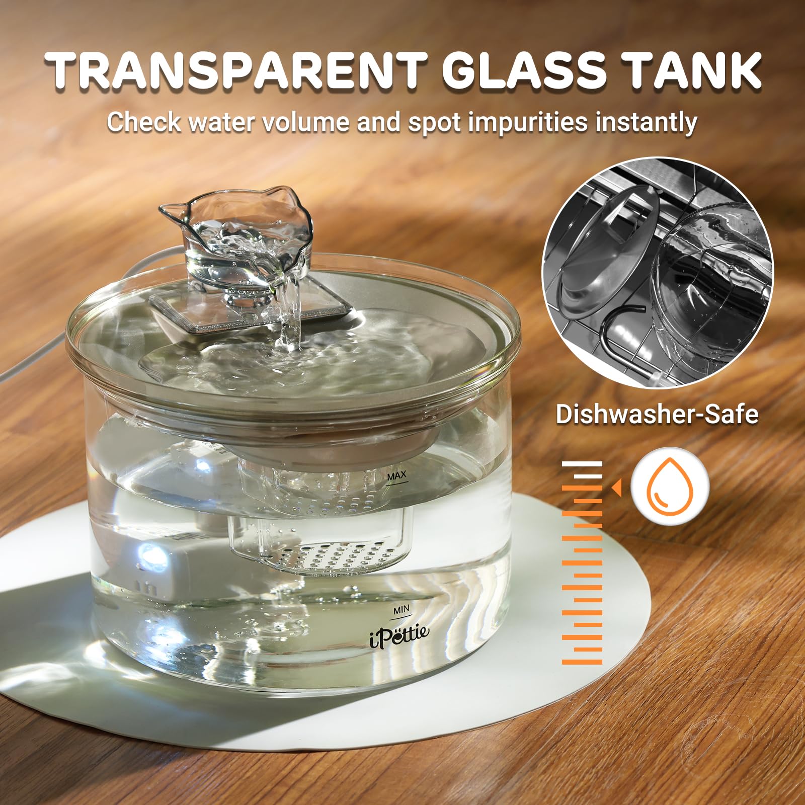 Transparent Glass & Stainless Steel Pet Water Fountain – 2L Filtered Automatic Drinking Dispenser for Cats & Small Dogs