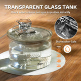 Transparent Glass & Stainless Steel Pet Water Fountain – 2L Filtered Automatic Drinking Dispenser for Cats & Small Dogs