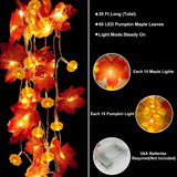 Maple Leaf & Pumpkin Fall Garland Lights – 20FT 60 LED Battery Operated with Timer (2-Pack, Warm White, Indoor/Outdoor)