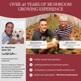 Natural Calming Chews for Dogs & Cats with Reishi & Lion’s Mane – Plant-Based Mood Support & Immune Health Supplement (Vegan Formula)