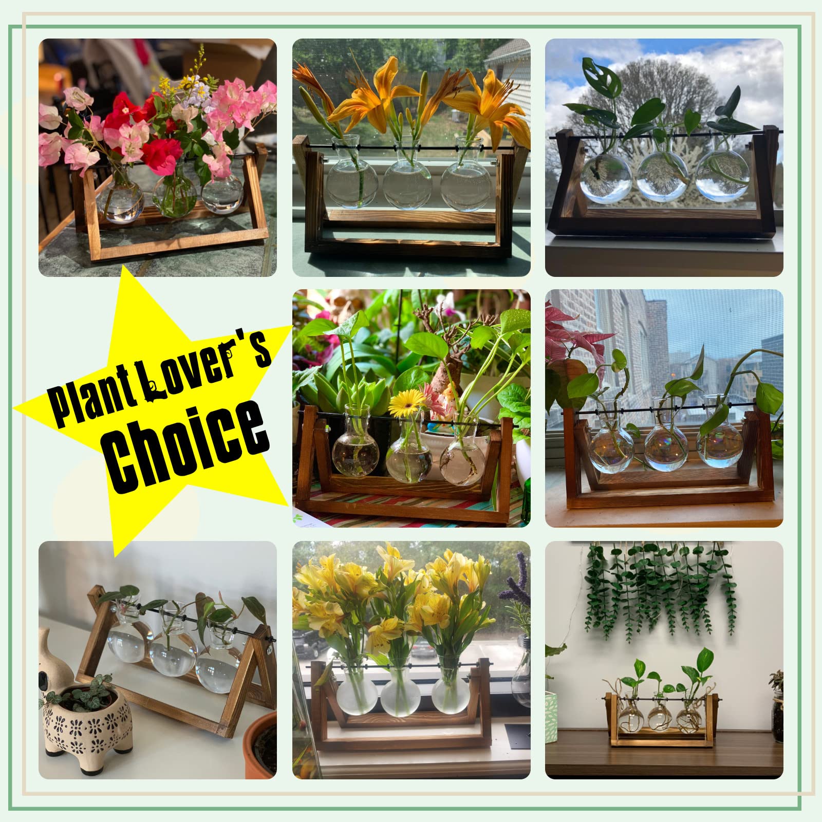 XXXFLOWER Glass Plant Terrarium with Wooden Stand 3 Bulb Hydroponic Vase Retro Tabletop Air Planter for Home Office Décor – Clear Green