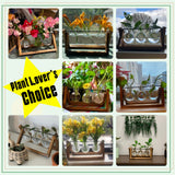 XXXFLOWER Glass Plant Terrarium with Wooden Stand 3 Bulb Hydroponic Vase Retro Tabletop Air Planter for Home Office Décor – Clear Green