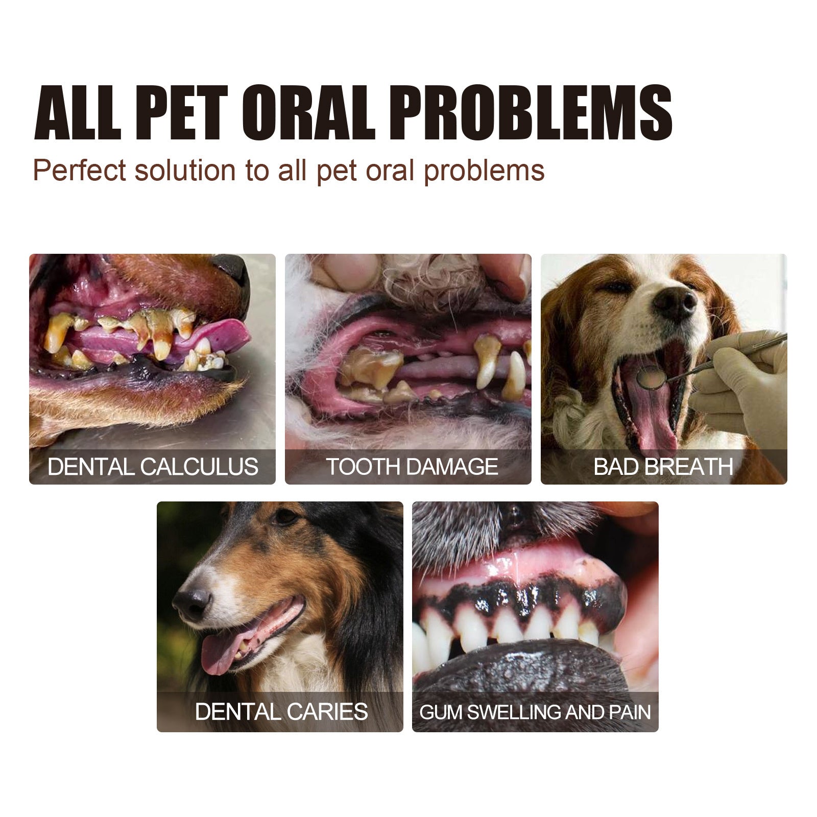 Pet Tooth Cleaning Spray – Oral Care Fresh Breath Spray for Dogs & Cats, Reduces Plaque & Tartar Buildup