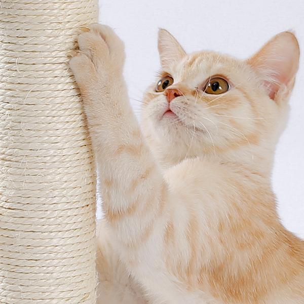 Indoor Cat Soft Scratching Board & Interactive Ball Track Toy – Cloud-Shape Groomer with Sisal Scratcher and Pom-Pom Ball Play