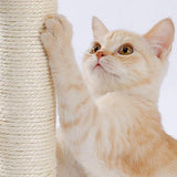 Indoor Cat Soft Scratching Board & Interactive Ball Track Toy – Cloud-Shape Groomer with Sisal Scratcher and Pom-Pom Ball Play