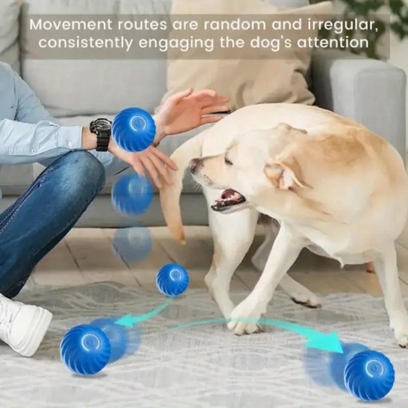 Blue & Orange Pet Bouncing Ball – Fun Interactive Toy for Cats & Dogs, Durable Rubber Ball for Playtime & Exercise