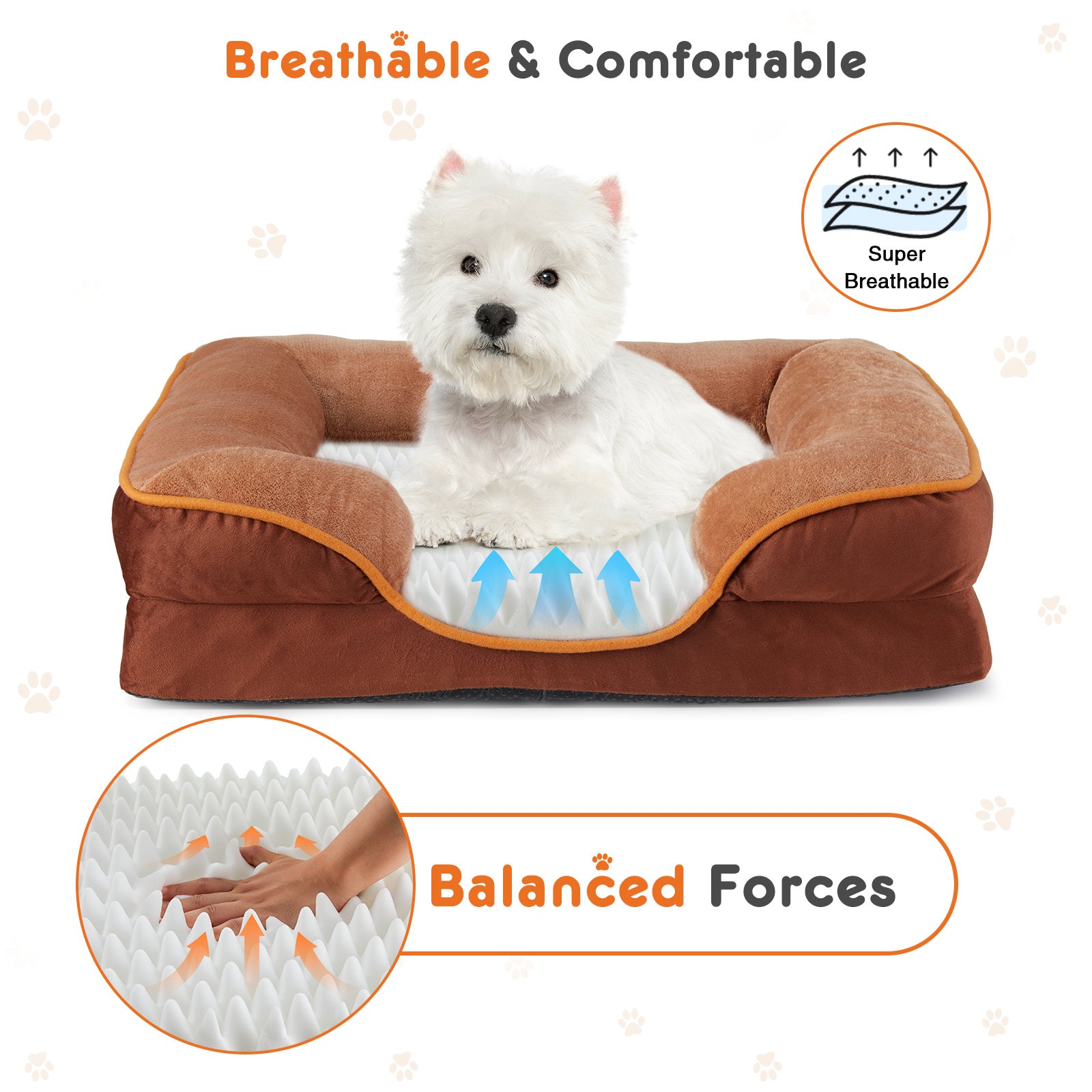 https://www.pulingo.com/products/memory-foam-pet-bed-for-small-dogs-cats-with-washable-removable-cover-non-slip-base-waterproof-liner?utm_source=copyToPasteBoard&utm_medium=product-links&utm_content=web