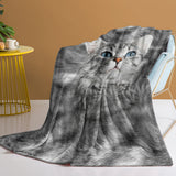 Cat Blanket for Cat Lovers – Cute Black & White Cat Print Fleece Sherpa Throw for Girls & Women, 130 × 150 cm