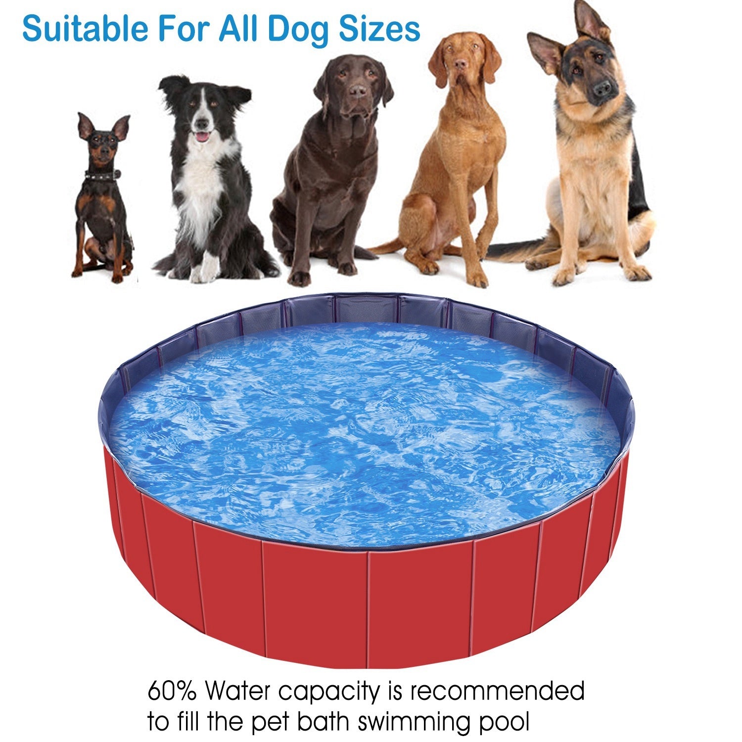 Foldable Pet Swimming Pool – 160×30 cm Heavy-Duty PVC Splash Pool for Dogs & Cats